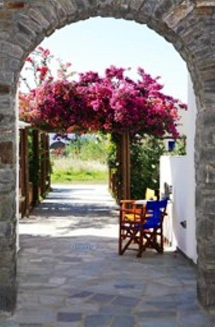 Deep Blue * Logaras